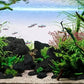 LANDEN Black Lava Stones (16lbs,3~10inch,11pcs) for Aquascaping Terrariums, Paludarium, Vivariums, Reptile and Amphibian Enclosures