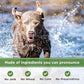 Organic Peanut Butter & Molasses Dog Treats – Healthy, Crunchy, Vegan Biscuits with Whole & Real Ingredients – All Natural & USA‐Baked, 4 Pound Bag