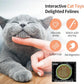 Catnip & Silvervine Powder – 30g Blend of Silvervine Gall Fruit & Catnip, Non-Addictive, for All Cat Ages, Multi-Use with Toys, Scratchers & Protecting Furniture, with 5 Little Pouches