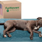Furhaven Orthopedic Dog Bed for Large/Medium Dogs w/ Removable Bolsters & Washable Cover, For Dogs Up to 55 lbs - Plush & Suede Sofa - Deep Pool, Large
