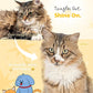 [PETHROOM] Cat Brush for Shedding Cats,Dogs, Kitten | Gentle Deshedding & Grooming Tool for Short or Long Hair | Safe Massage Brush for Sensitive Skin | Sturdy, Durable, and Portable