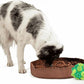 Reggie Enrichment Value Pack for Dogs with Stimulating Feeder Mat and Forager Ball to Relieve Speed Eating, Boredom, Stress | Vet-Approved & Ideal for All Ages, Dog Breeds, and Sizes