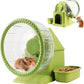 4 in 1 Silent Large Hamster Wheel Multifunctional Hamster Running Wheel Quite Running Spinner Wheel Accessories with Food Bowl Water Bottle for Hamsters Dwarf Gerbil (Green)