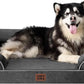 EHEYCIGA Orthopedic XL Dog Beds, Waterproof Memory Foam Dog Bed for Extra Large Dogs, Non-Slip Bottom and Egg-Crate Foam Big Pet Couch Bed with Washable Removable Cover, Dark Grey