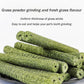 400g 5 Guinea Pig Toys Apple Sticks, Tissimo Grass Sticks, Sweet Bamboo, Papaya Stems, Carrot Sticks Pertain Chinchilla Squirrel Gerbil Hamster Squirrel Guinea Pigs