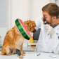 Katoggy Inflatable Dog Cone Collar for Dogs After Surgery, Soft Adjustable Blow up Donut Dog E-Collar for Small Medium Large Dog and Cats