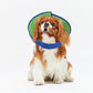 Inspack Soft Dog Cone Collar Alternative, E Cones for Small Dogs/Cat/Puppy to Stop Licking after Surgery, Comfortable All Paws Comfy Elizabethan Collars, Neuter Recovery Ecollars of Shame Alternatives