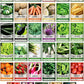 Gardeners Basics Survival Vegetable Seeds Garden Kit Over 16,000 Seeds Non-GMO and Heirloom, Great for Emergency Bugout Survival Gear 35 Varieties Seeds for Planting Vegetables 35 Free Plant Markers
