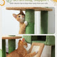 PEQULTI 53'' Cat Tree for Indoor Cats, Large Condo, Sisal Scratching Posts, Hammock & Perch, Fresh Cactus Design, Sturdy, Multi-Level
