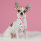 PET SHOW 10 Pack Holiday Small Dog Ties Neckties for Doggies Cats Adjustable Grooming Accessories Neck Ties Bowties Girl Boy Pets Festival Costumes Puppy Wedding Party Gift Favor