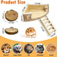 kathson 4pcs Hamster Platform with Ladder Natural Wooden Chinchilla Climbing Toy Rat Cage Ledge Sugar Glider Cage Accessories for Small Animals