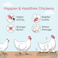 Chick Grit for Baby Chicks - Chickens Age 0-8 Weeks, 100% Natural Mineral Chick Grit Quartzite, Poultry Grit Digestive Aid, USA Mined, 4 lbs