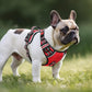 Timos Dog Harness Small Sized, No Pull with Neck Lockable Snap,No Choke Front Clip Dog Reflective Harness,Adjustable Metal Rings 3 Buckles,Easy Control Handle for Small Dogs Red S