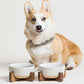 Ceramic Dog Bowl Set, 4 Cups Food and Water Bowl for Medium Small Dogs, Cute Pet Dishes with Wood Stand, Rhombus+Wave Design (Set of 2)