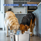 Dog Water Fountain for Large Dogs - 3 Gallon Stainless Steel Dog Water Bowl Dispenser with 4 Filters, Automatic Big Extra Large Capacity Pet Water Fountain, Easy Clean with Quiet Pump