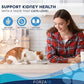 Forza10 Kidney Care Cat Food – Renal Support Wet Cat Food with Lamb, 3.5 oz Cans, 4 Pack – Vet Formulated, Made in Italy