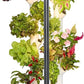 Gardyn Studio Hydroponics Growing System Kit & Vertical Indoor Garden Planter | Smart Herb Garden | Includes 16 Non-GMO Indoor Plants, Herbs, Vegetables & LED Grow Light for Your Home Gardening System