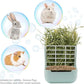 Litewoo Rabbit Hay Feeder Food Bowl Feeding Rack for Small Animal Guinea Pig Chinchilla Bunny Cage Accessories