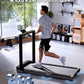 WALKINGPAD X Series Folding Treadmills for Home, Smart Vertical Fold, LED Display with Rotary Control, No Assembly