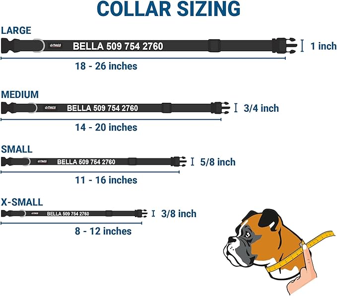 GoTags Personalized Dog Collar with Nameplate, Adjustable Dog Collar with Custom Engraved Slide On Pet ID Tag in Stainless Steel, Silent, No Noise Dog Tag (Light Blue, X-Small)