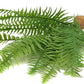 JIHAQUA Fake Fern Plants, Reptile Plastic Terrarium Decor, Reptiles Amphibians Tank Accessories for Crested Gecko Leopard Lizard Chameleon (Fern-L)
