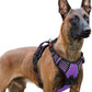 rabbitgoo Dog Harness for Large, No Pull Pet Harness with 3 Buckles, Adjustable Soft Padded Vest with Control Handle, Walking Reflective Pet Vest for Extra Large Dogs, Purple, XL