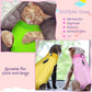 Nuanchu 3 Pieces Cat Recovery Suit Kitten Recovery Suit E-Collar Alternative for Cats and Dogs Abdominal Skin Anti Licking Pajama Clothes Sets(Simple Pattern,Small)