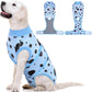 Kuoser Dog Surgery Recovery Suit, Anti Licking Pet Surgical Suit for Dogs Male Neuter, Female Dog Surgery Suit for Spay Subsititute E-Collar Cone, Dogs Body Suits After Surgery Blue Polka Dot 2XL