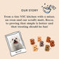 Bocce's Bakery Dailies Brushy Sticks to Support Oral Health & Fresh Breath, Wheat-Free Dental Bars for Dogs, Made with Real Ingredients, Baked in The USA, All-Natural Coconut & Mint, Medium Dogs