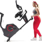 Sunny Health & Fitness Programmable 16 Levels Electro-Magnetic Resistance Recumbent Exercise Bike with 24 Pre-Build Workouts and 300 lbs Weight, Free SunnyFit App Connection for Guided Home Training