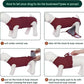 Kuoser Dog Surgery Recovery Suit, Recovery Suit for Female Male Dogs, Dog Onesie After Surgery Spay Neuter, Anti-Licking Pet Surgical Recovery Snugly Suit, Bodysuit for Abdominal Wounds Skin Disease