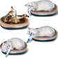 6 PCS Cat Fish Toy Soft and Durable,Cat nip Toy with Catnip Inside, Kicker Toys for Indoor Kitten Exercise,Kitty Teething Chew Toy (6 Sauries)
