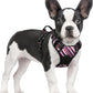 rabbitgoo Dog Harness No Pull with 2 Leash Clips, Adjustable Soft Padded, Reflective Oxford No Choke Pet Vest with Easy Control Handle for Large Dogs, Red Stripe, S