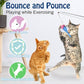 Pawaboo Cat Feather Toys, 4 Pack Interactive Teaser Wand, Retractable Fishing Pole Catcher Exerciser With Refill Fish, Dragonfly Worm With Bells, Fun Kitten Kitty Playing Toy