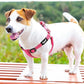 PUPTECK No Pull Dog Harness Soft Adjustable Basic Nylon Step in Puppy Vest Outdoor Walking with ID Tag, Reflecive Pink, S