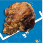 Jack&Pup Beef Bones, Knee Cap for Dogs, Long Lasting Natural Dog Bones, Beef Bone Knee Caps for Large Dogs. (2 Pack)