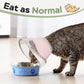 Cat Cone Collar Soft: Comfortable Waterproof Mesh Recovery Cone After Surgery to Stop Licking and Scratch, Alternative to Plastic Elizabeth Head/Neck Cone for Large Cats and Small Dogs