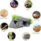 Premium Small Fish Tank Decorations, Reptile Tank Accessories, Turtle Tank Accessories, Natural Reptile Hide for Bearded Dragon, Professional Turtle Basking Platform (Small)