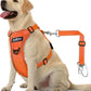 Dog Seat Belt Harness for Car, Dog Car Harness Adjustable Mesh Breathable & Dogs Seatbelt Safety Tether with Elastic Bungee for Small Medium Large Pets(Orange, XL)
