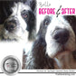 The Blissful Dog Springer Spaniel Unscented Nose Butter, 16oz