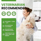 Probiotics for Dogs - Dog Probiotics with 5 Enzymes & 4 Prebiotics for Itchy Skin, Pet Probiotics lab for Digestion & Gut Support, Helps Diarrhea, Yeast Infection, Allergies & Immune System -180 Chews