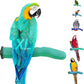 Safety Pumice Perch - Trims Nails and Beak - Promotes Healthy Feet - Safe Non-Toxic Bird Supplies for Bird Cages - X-Large 14"