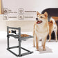 SHAINFUN Elevated Dog Bowls - Raised Stand with 2 Stainless Steel Bowls, Adjustable Height Feeder for Small and Medium Dogs, Puppies, Cats - Grey