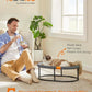 Feandrea Pet Bed, Cat Hammock, Elevated Cat Bed for Multiple Cats, with Removable Washable Mesh, for Pets up to 28 lb, Oval, Gray UPCB002G01