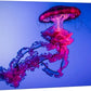 wall26 Canvas Print Wall Art Vibrant Neon Hot Pink Underwater Jellyfish Nature Animals Photography Realism Rustic Scenic Landscape Wilderness Earth for Living Room, Bedroom, Office - 12"x18"