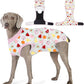 Recovery Suit for Dogs After Surgery, Professional Dog Surgical Suit for Female Spay, Male Neuter, E-Collar & Cone Alternative Dog Onesie for Abdominal Wounds Skin Disease, Fruit, L