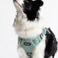 2025 New Edition, Fei & Eve MagEase Dog Harness - 3-Second Magnetic Buckles | 3-Point No-Pull Control | Heavy-Duty 900D Nylon | Dual Safety Handles | Breathable Mesh | Adjustable Fit | Medium, Green