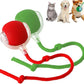 2 Packs Interactive Cat Toy Ball for Indoor Cats - 3-Speed Smart Rolling Ball with Flashing Lights, USB Rechargeable Automatic Motion Kitten Toys for Bored Adult Cats & Playful Kittens