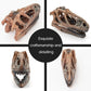 Fish Hideout Aquarium Décor Decorations Dinosaur Skull Fish Tank Decor Cave Dinosaur Skull Betta Animal Halloween Large Tarantula Reptile Bones Snake for Terrarium Ornament