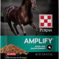 Purina | Amplify High-Fat Horse Supplement (10 LB) Bag